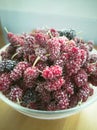 Frozen Organic Mulberry, berry, closeup Ã¢â¬â Image